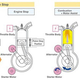 Illustration for article titled Mazda Develops Direct Injection Start-Stop, Claims 10% Fuel Economy Improvement